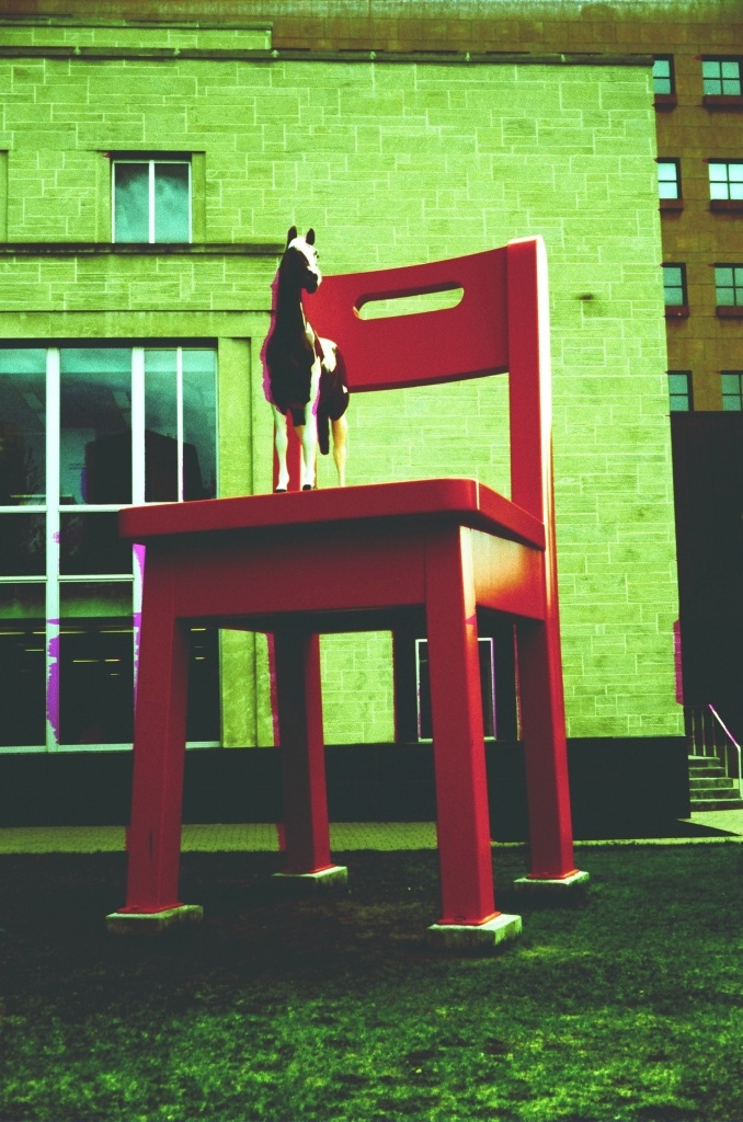 Palimino on a red chair outside the Denver Library